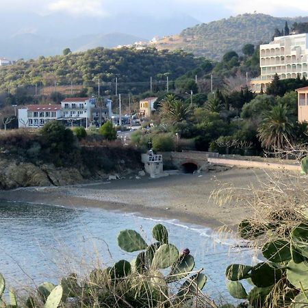 Les Pieds Dans L'Eau Leilighet Banyuls-sur-Mer Eksteriør bilde