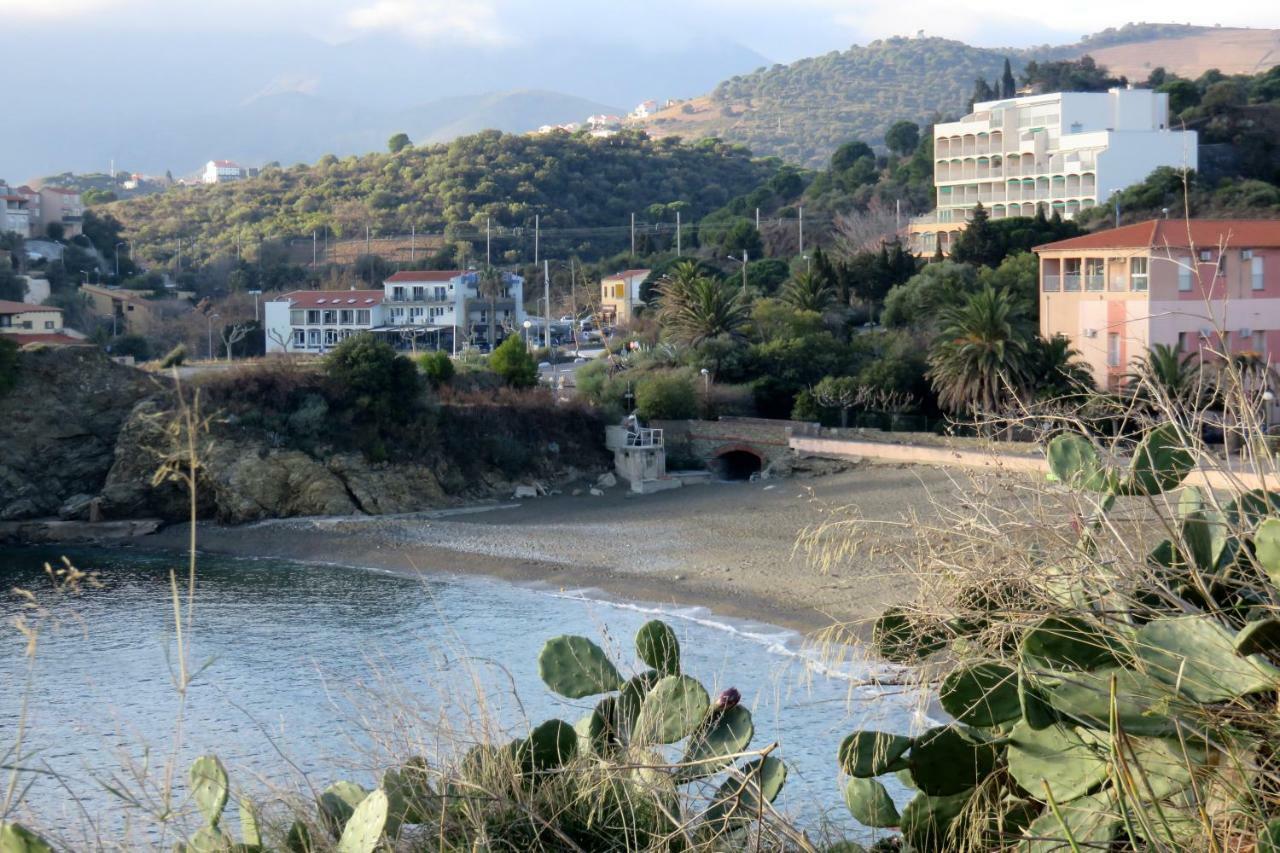 Les Pieds Dans L'Eau Leilighet Banyuls-sur-Mer Eksteriør bilde